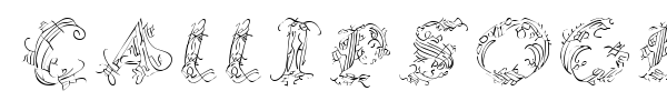 Callipsografia font preview